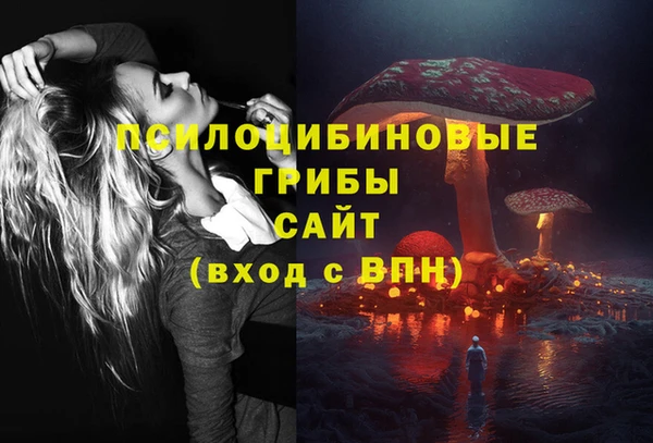 бошки Пересвет