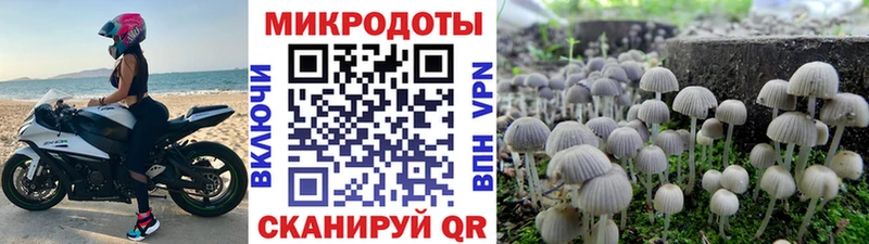 Галлюциногенные грибы ЛСД  купить наркотик  Советск 